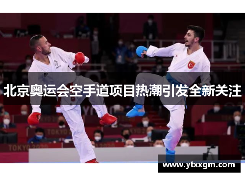 北京奥运会空手道项目热潮引发全新关注